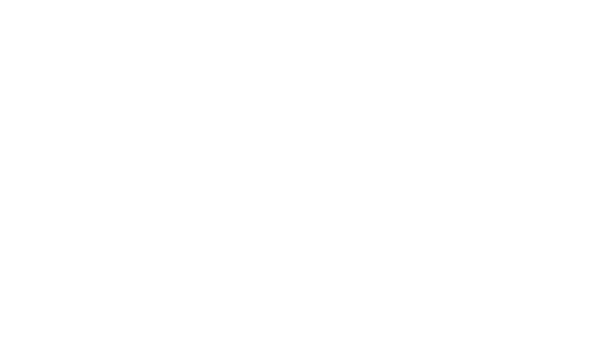 logo-timet